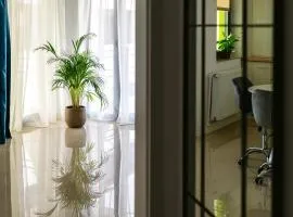 Zig-Zag Studio 23