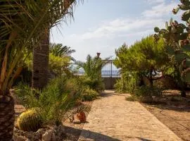 Evgenia's Seafront Studio Aegina