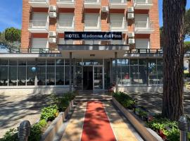 Hotel MDP，位于切尔维亚的酒店