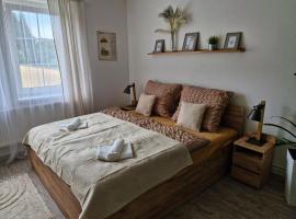 Apartmán Mour，位于Rejštejn的酒店