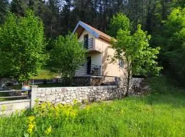 Cottage in nature of Cetinje