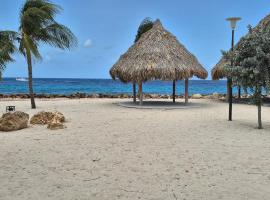 Studios & House with beautiful beach front view，位于威廉斯塔德的酒店