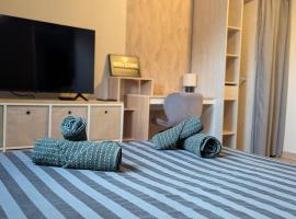 Petit appartement 1 Le charmant，位于萨尔格米纳的酒店