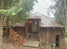 Cozy and rustic cabin，位于尼尔逊的酒店