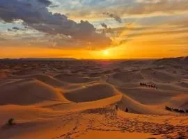 lion Desert Camp