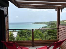 Le lodge des raisiniers，位于拉特里尼泰的木屋