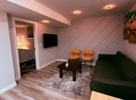 Spacious 2 bedroom 3 beds lower unit with separate entrance and parking space Near Downtown, Calgary Zoo, Costco and many more