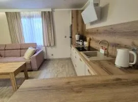 Apartament AMETYST