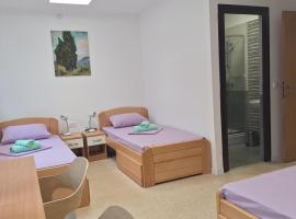 Aleksa rooms，位于贝尔格莱德的酒店