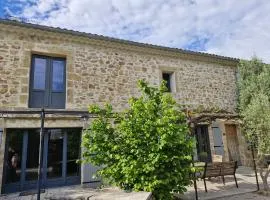 Grand mas provençal 4 chambres, dortoir 7 pers, idéal familles groupes, fraîcheur d'été