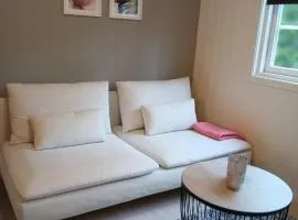 Lys og moderne leilighet i Bø.