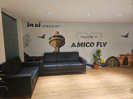 Amico Fly