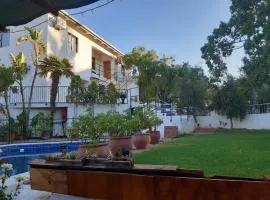 The Olive Tree Guest House