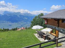 Chalet la Vie est Belle - Magical escape - Swiss Alps，位于韦松纳的酒店