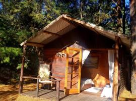 Whistling Woods Cabin at Drakensberg International Backpackers，位于Elandskop的酒店