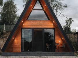 The DREAM A-frame Cabin，位于Arpaşu de Sus的木屋