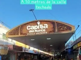 El colibrí del centro