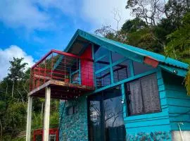 Finca Buena Vista