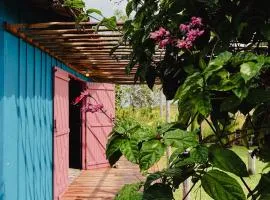 Casa Curimã