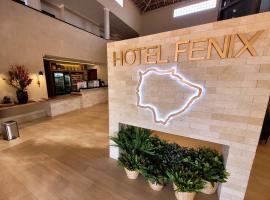 Fênix Plaza Hotel，位于阿基道阿纳的酒店