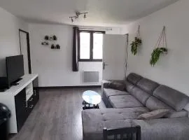 Maison avec jardin et garage