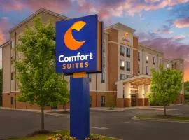 Comfort Suites Greensboro-High Point
