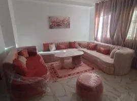 Appartement 4 pièces, bien équipé et richement meublé