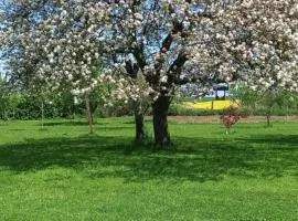 Aux trois petites notes