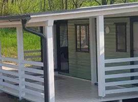 Domki Boszkowo-Dominice "Zielony"