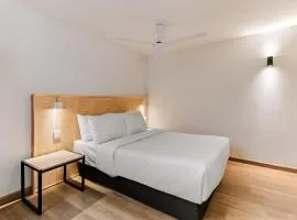 Pájaros By Homirent