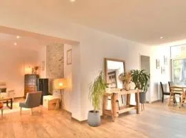 Grande maison centre ville