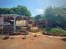 חוות רפאל - פרדס חנה