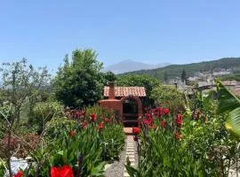 Casa terrera "El Granero"