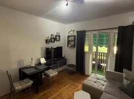 Stan na dan Despotovac