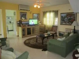 Luxurious 2BR Kingston Private Escape