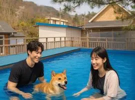 Gapyeong Haneuldari pet pension