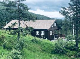 Familiehytte på Kvamskogen，位于Kvam的酒店