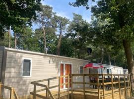 Care-accessible Cosy Cottage 4 personen，位于卡斯特尔莱的酒店