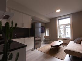 Nordic Style - Modern downtown apartment，位于奥斯陆的带停车场的酒店