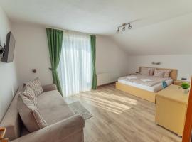 Pensiunea Patakparti 4，位于普拉伊德的酒店