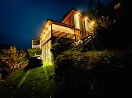 LakeView DomekNaKaszubach