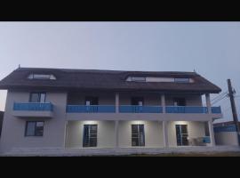 Casa tanase，位于圣格奥尔基的公寓