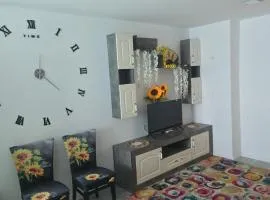 Къща в центъра