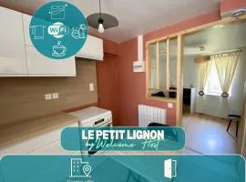 Le petit Lignon, Centre ville