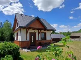 Siedlisko Czarny Dzięcioł