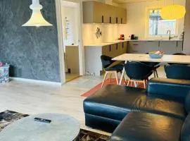 Modern house in Billund