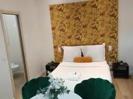 Studio Moderne en plein cente de Paris