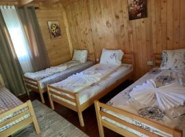 Guest house Niko，位于Çerem的宠物友好酒店