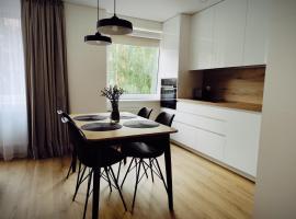 Stay Rokiškis apartments，位于罗基什基斯的酒店