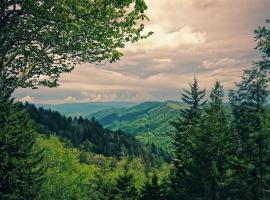 A Mountains Suffer Hotel Kasauli，位于卡绍利的酒店
